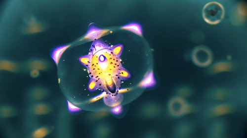 Radiolaria: A Symphony of Microcosmic Dream Bild 2