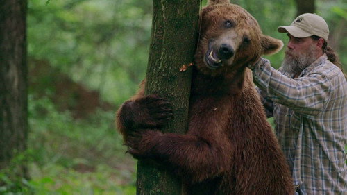 Project Grizzly Sneak Peek