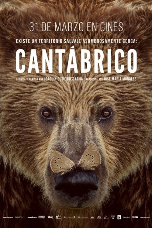 Ver pelicula Cantábrico: Los dominios del oso pardo Online