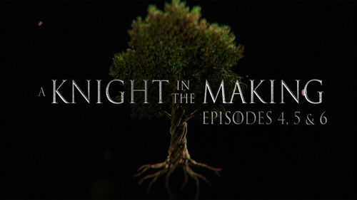 Poster della serie A Knight in the Making