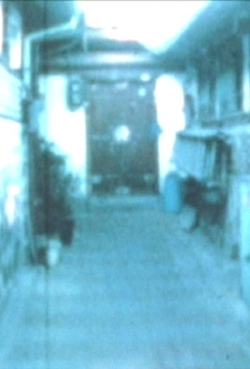 Chapter Two Which Treats of the First Sally (2004) poster
