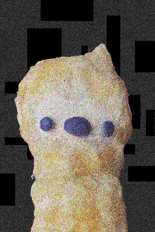 The Tranzformation