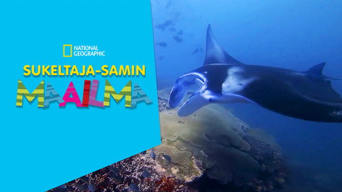 Scuba Sam's World — Fondos 5