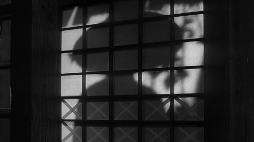Backdrops