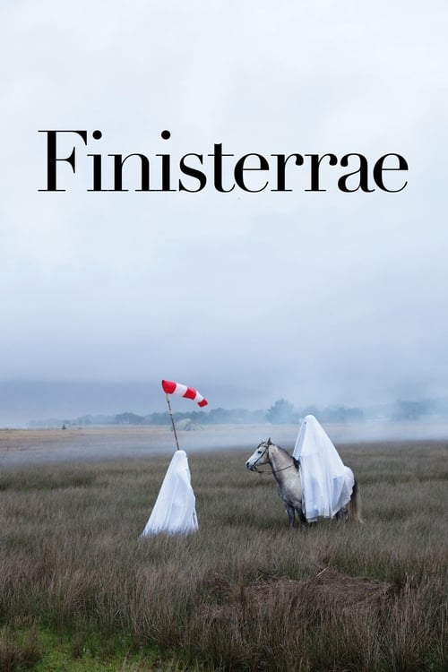Finisterrae 2010
