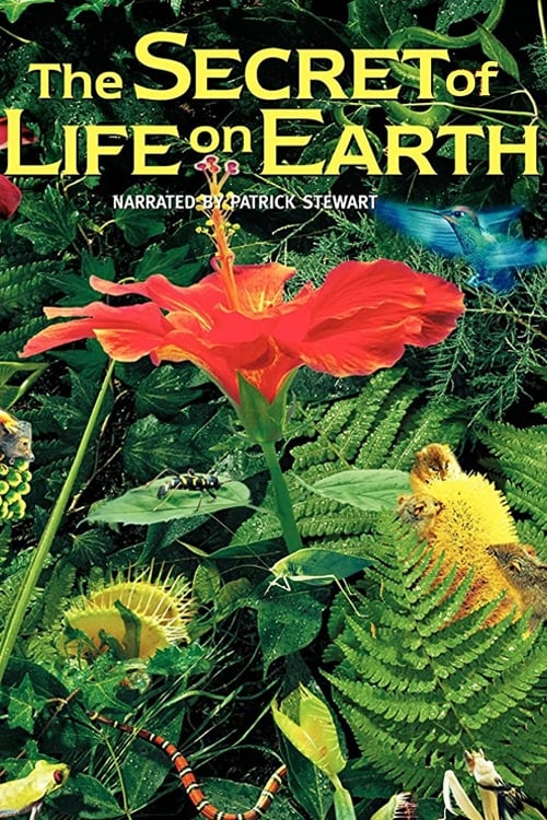 The Secret of Life on Earth Movie Poster Image