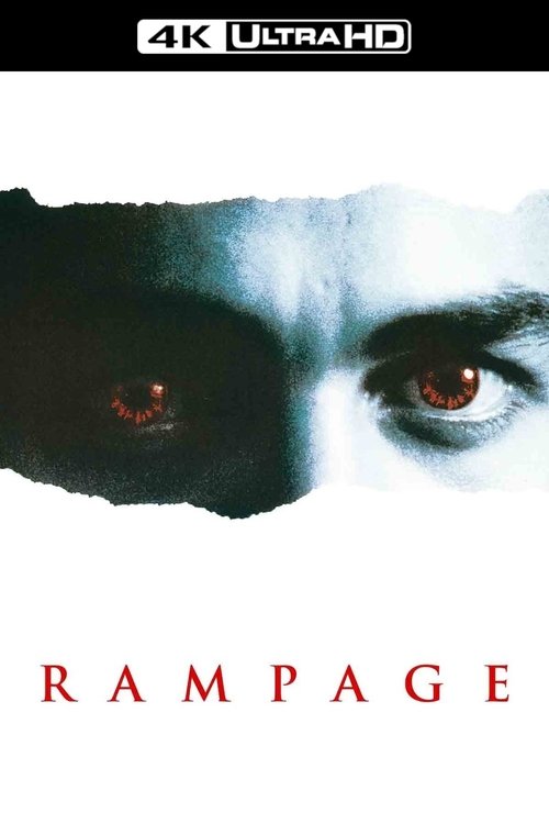 Poster 7