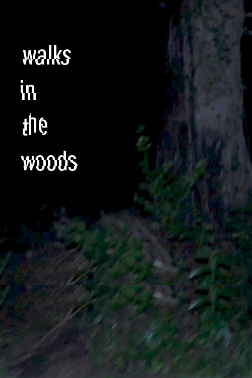 Walks in the woods still 3