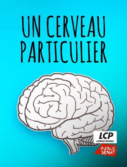 Un cerveau particulier