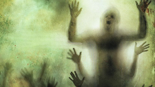 The Human Centipede (First Sequence)