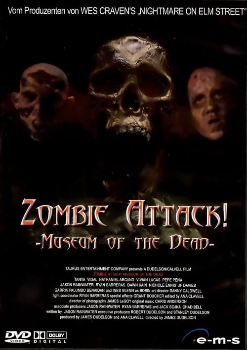 Zombie Attack: Museum of the Dead