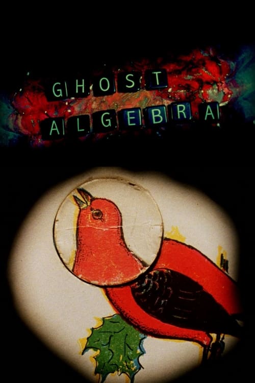 Ghost Algebra (2010) poster