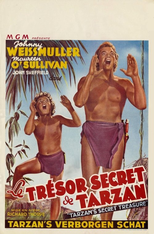 Tarzan's Secret Treasure poster