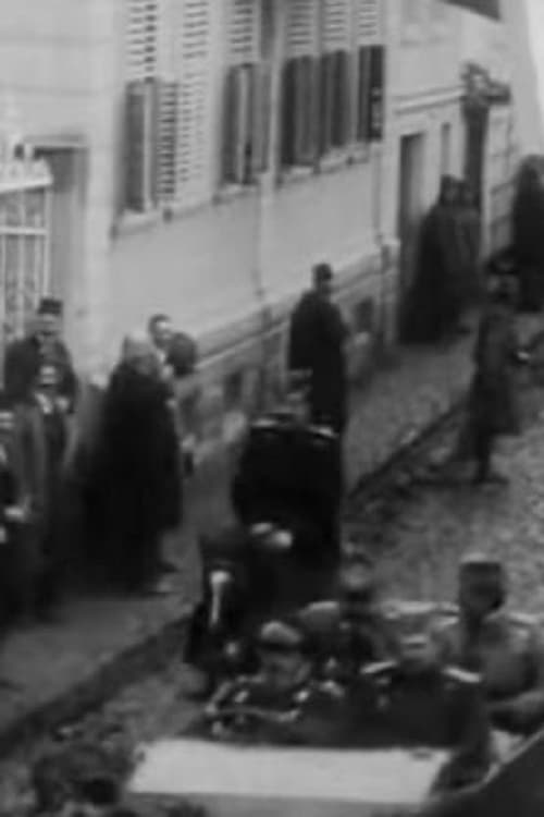 The Reception of the Greek King and the Heir Pavle Made by General Bojovic in Bitola (1918)