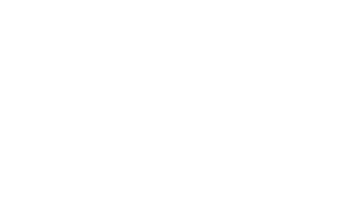 Genius Game