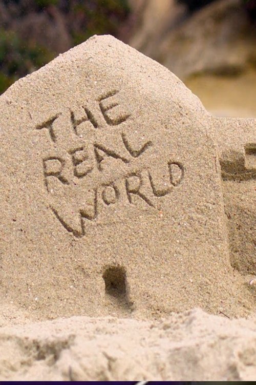 The Real World, S26 - (2011)