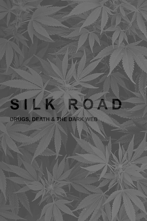 Silk Road: Drugs, Death and the Dark Web 2017