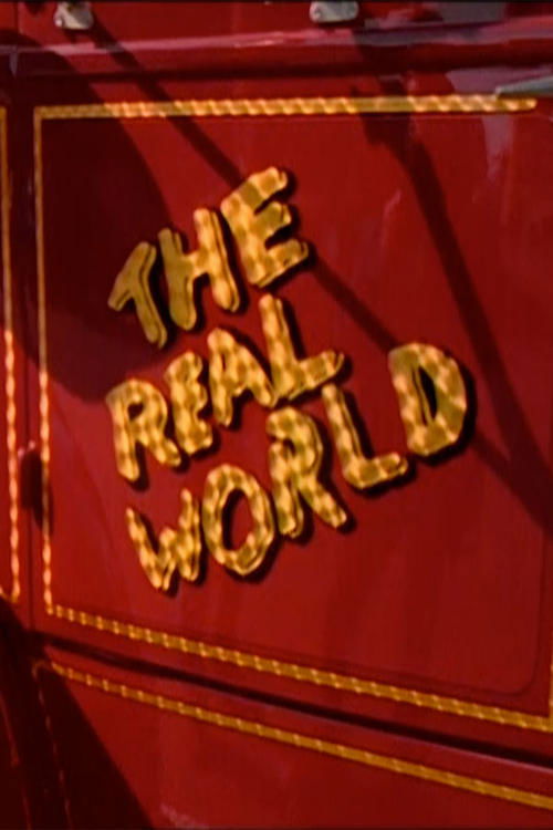 Where to stream The Real World Season 6