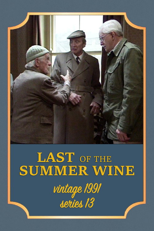 Series 13