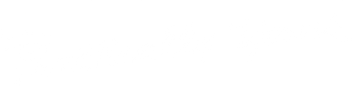 Practically Yours's logo image