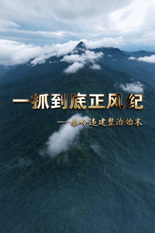 Official poster for the TV series 一抓到底正风纪—秦岭违建整治始末, a documentary show