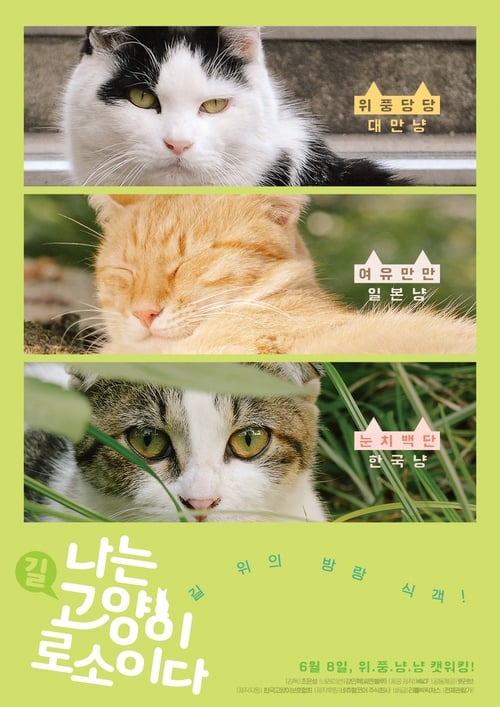 A carefree Japanese cat! A proud Taiwanese Cat! A witty Korean cat?!  I want to be happy too! A road movie about stray cats seeking happiness.