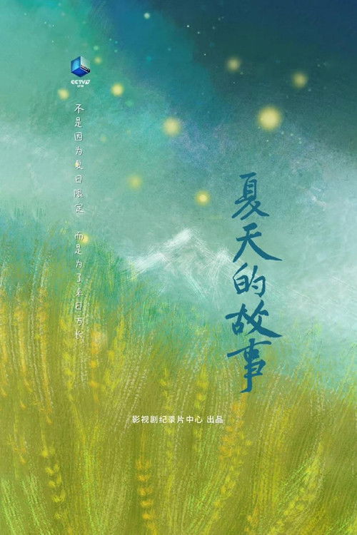夏天的故事