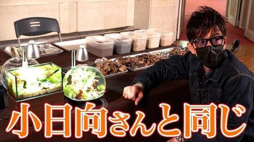Épisode 142