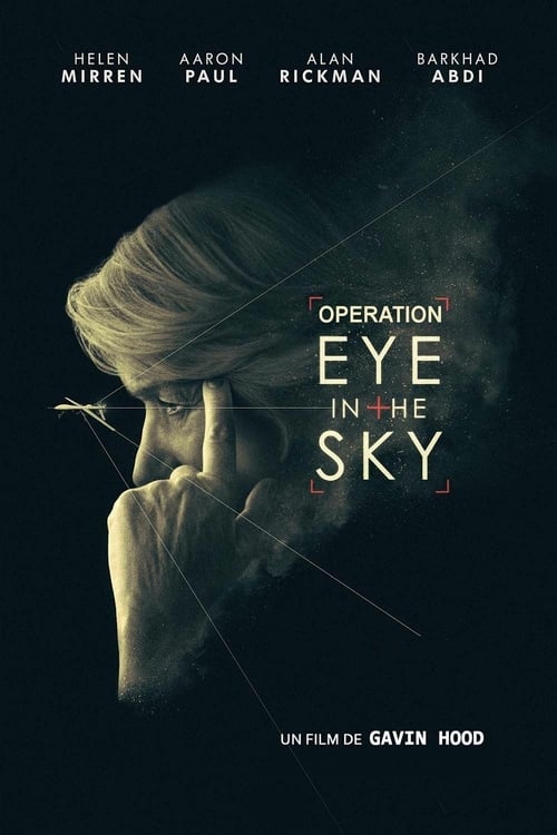 Eye in the Sky (2015)