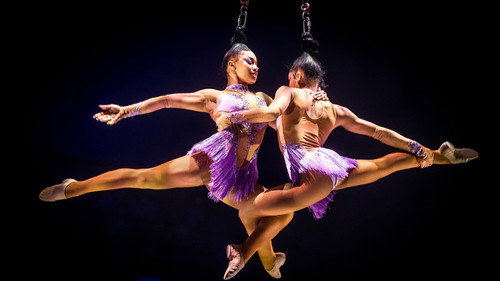 Le Cirque Phénix - 25 ans