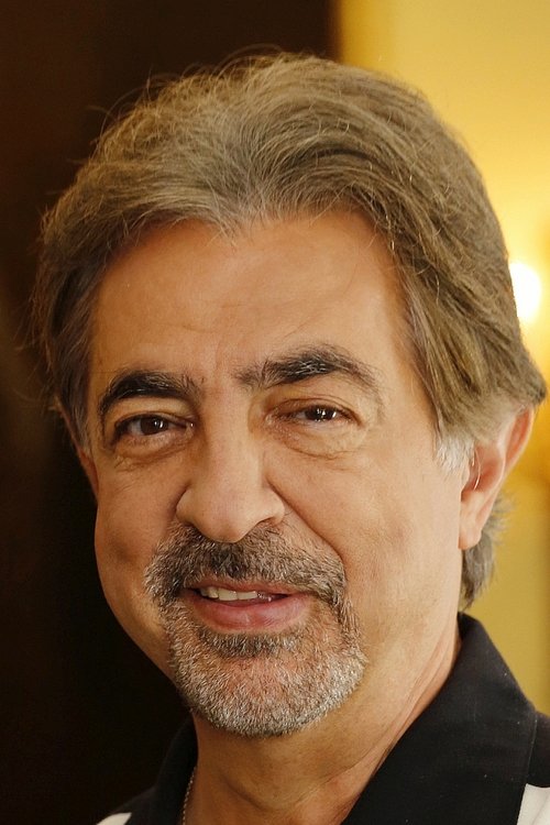 Kép: Joe Mantegna színész profilképe