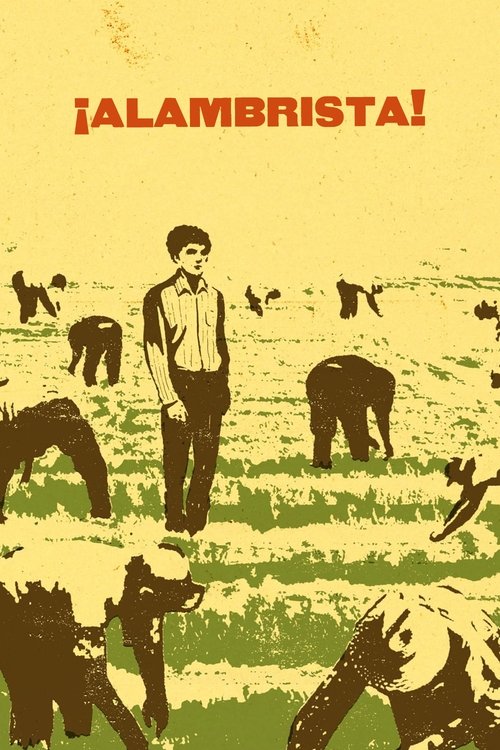 Poster 4