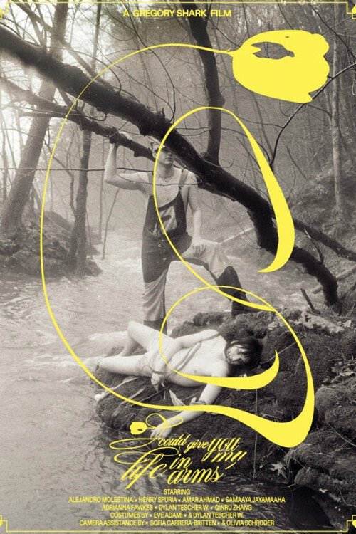 I Could Give You My Life in Arms (2022) poster