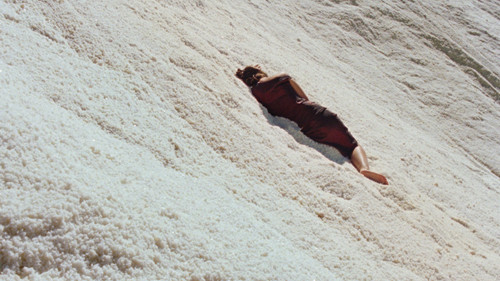 The Loneliness of Lizards