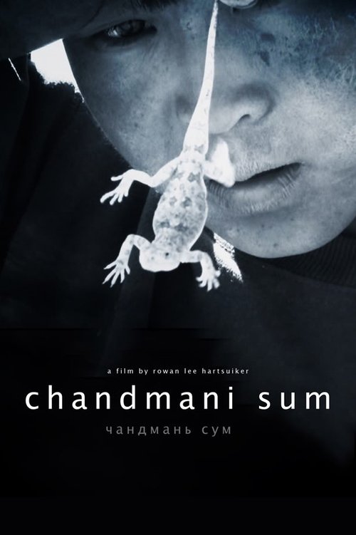 Chandmani Sum movie poster player