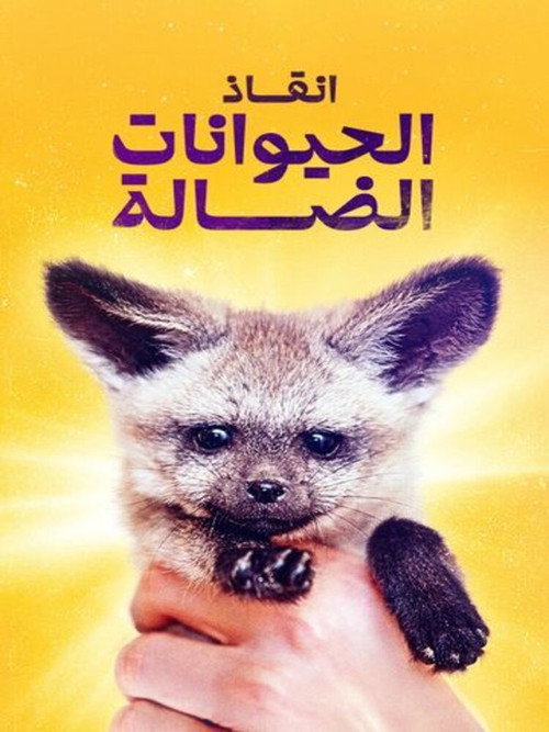 Rescue stray animals