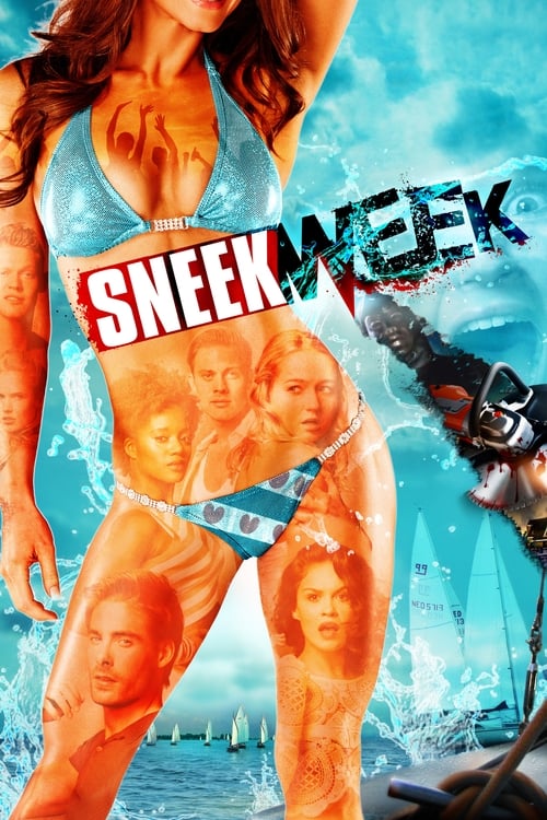 Sneekweek (2016) poster