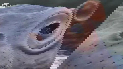 Image de l'épisode 2