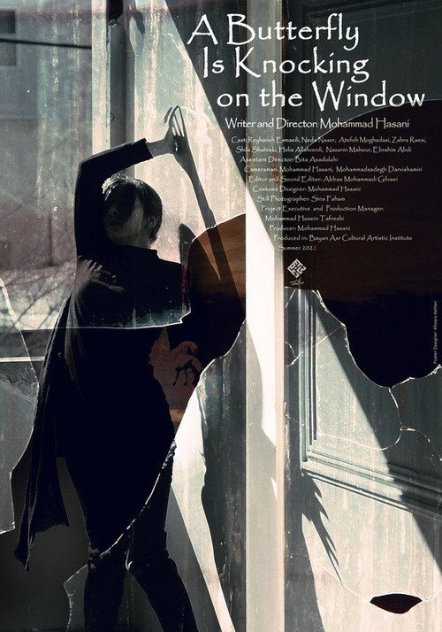 A Butterfly Is Knocking on the Window