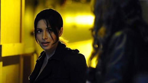 Pessoa de Interesse: 4×11