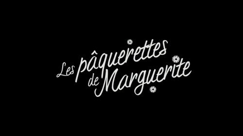 Image Les pâquerettes de Marguerite