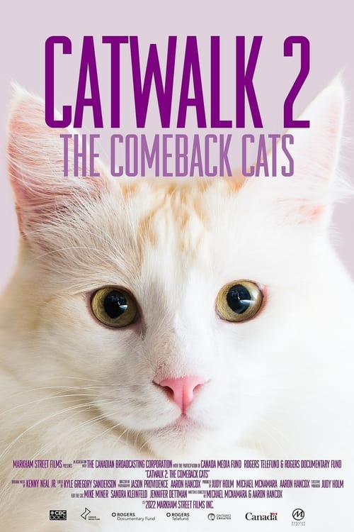 Watch Catwalk 2: The Comeback Cats Online Streamplay