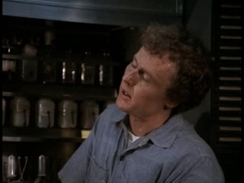 Hawaii Five-O, S04E23 - (1972)