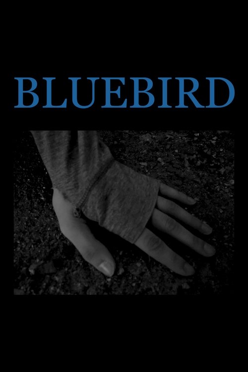 Bluebird movie poster player