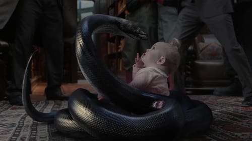 Desventuras em Série: 1×4