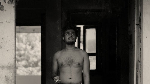 A Fly Floating In The Midst Of The Milk