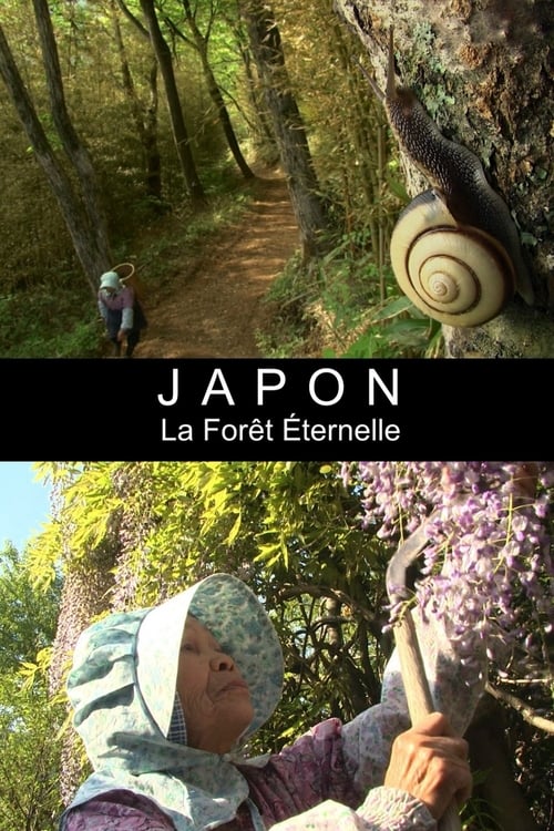 Japon - La forêt éternelle 2013
