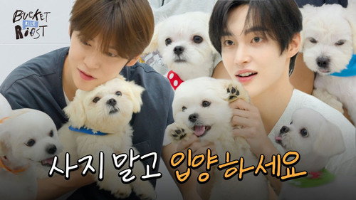 EP.9 Puppy Puppy Puppy Puppy Puppy Puppy Puppy Aww