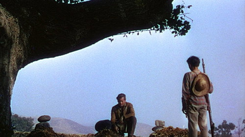 The Man from the Alamo