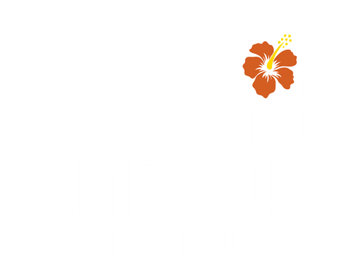 Doogie Kamealoha: Doutora Precoce - Logo 6